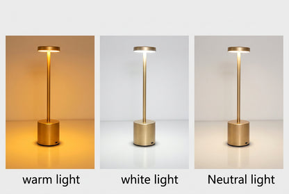 Gold USB Rechargeable LED Table Lamp